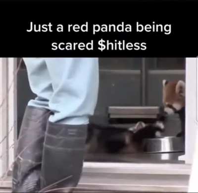 Saw this on another sub but it wouldn&rsquo;t let me crosspost