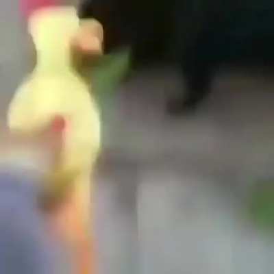 B&auml;rk