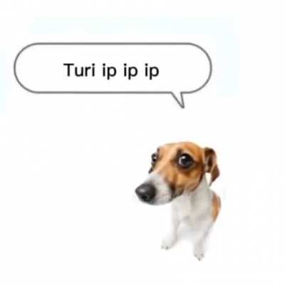 Tur ip tur ip