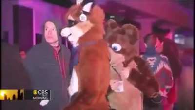 Meet the Anti Furry