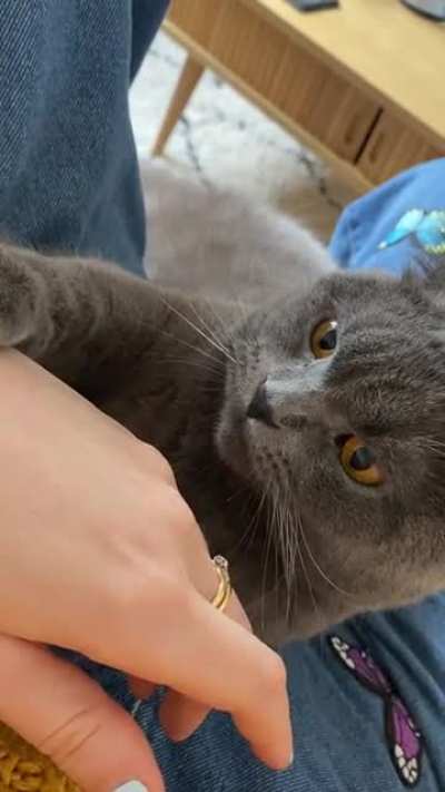 Cuddling for an hour, decides I deserve a bite or two to keep me in my place