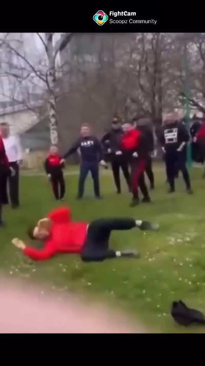 Uk Boxer