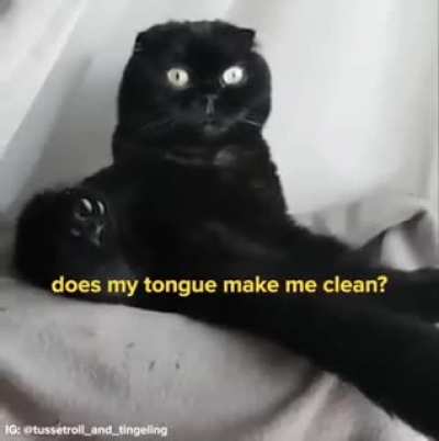 💛
