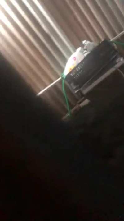 Es lo m&aacute;s que le eh podido traer de mi vecina culona