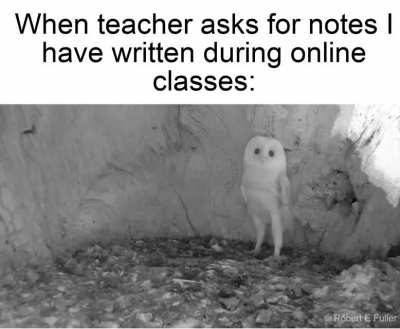 no, please don't.