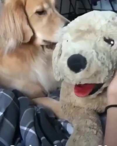 Jealous