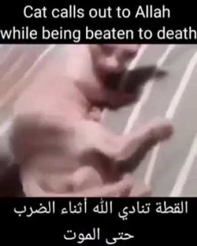 Infidel