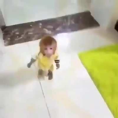 Waddle waddle