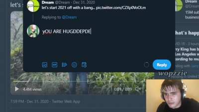 dream stans are disappointed with dream's face reveal