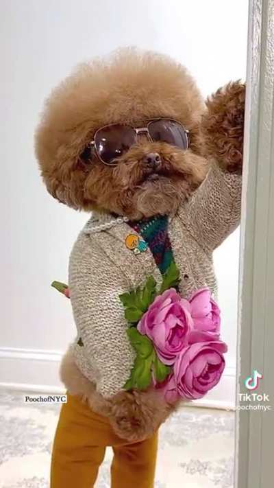 To get your Valentine's spirit on.