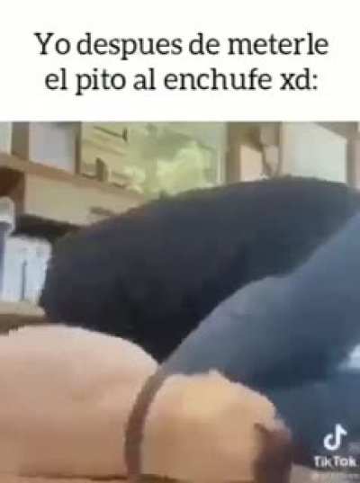 Xd
