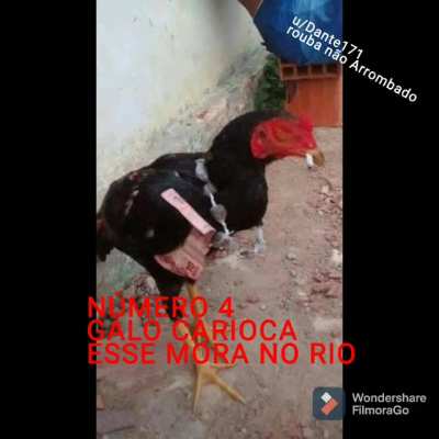Esse v&iacute;deo ficou foda (ESTOURADO abaixe o cu)
