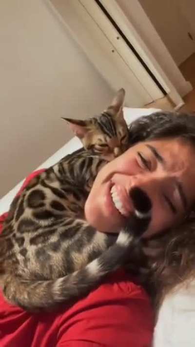 Cat showing it’s love