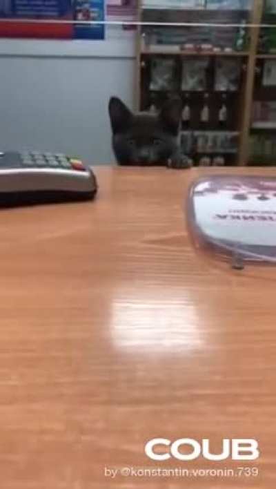 Не нужно на меня кричать...