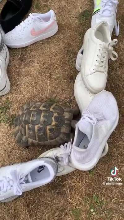 Maybe maybe maybe 