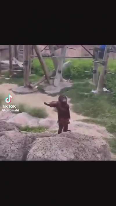 Monke