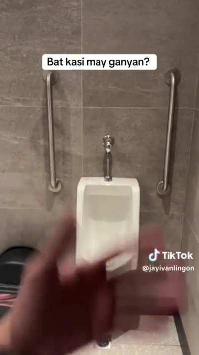Pa-Explain Naman: Para saan ang hand bars sa tabi ng urinal na ‘to?
