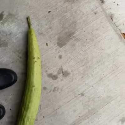 Thy one time I tried to crack open my luffa&hellip; wait for it