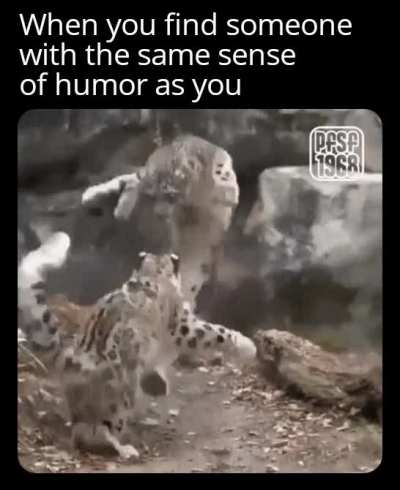 Alright, ya got me