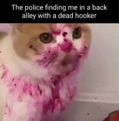 Oops I made a silly