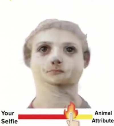 bru h