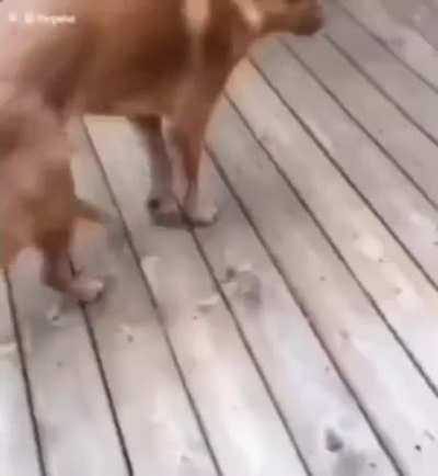 Ya es Juevebebes y &eacute;sa el la actitud 
