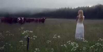 🎼🐮