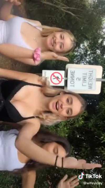 3 wifeys