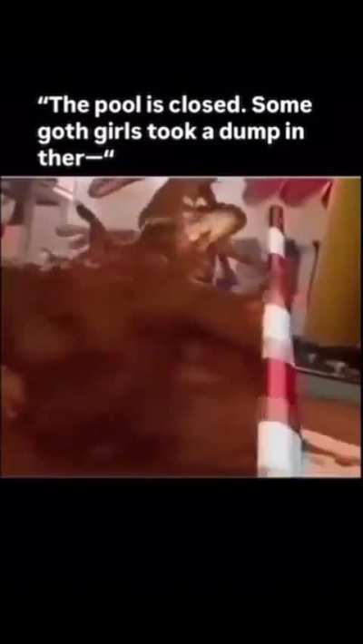 wtf is this shit