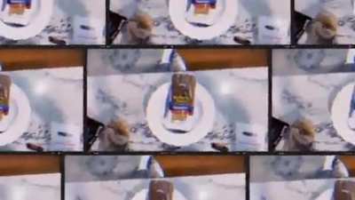 🍞&rlm;&rlm;&lrm; &lrm;&rlm;&rlm;&lrm; &lrm;&rlm;&rlm;&lrm; &lrm;&rlm;&rlm;&lrm; &lrm;&rlm;&rlm;&lrm; &lrm;&rlm;&rlm;&lrm; &lrm;&rlm;&rlm;&lrm; &lrm;&rlm;&rlm;&lrm; &lrm;&rlm;&rlm;&lrm; &lrm;&rlm;&rlm;&lrm; &lrm;&rlm;&rlm;&lrm; &lrm;&rlm;&rlm;&lrm; &lrm;&rlm;&rlm;&lrm; &lrm;
