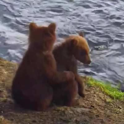 Mom said not to get so close to the water