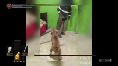 se ve bueno el nuevo dlc de dark souls