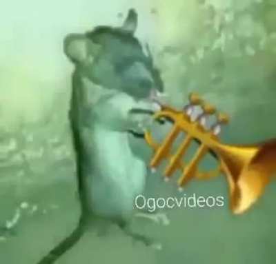 Fare i&ccedil;ini d&ouml;k&uuml;yor..