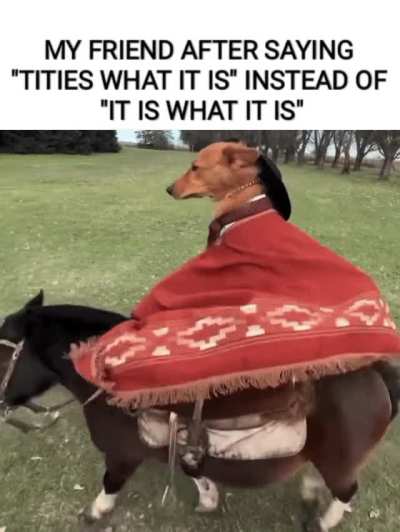 Title contain "tit"