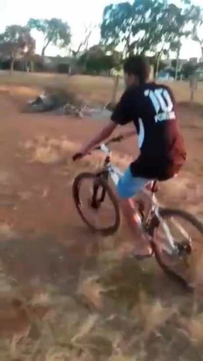 Nóia