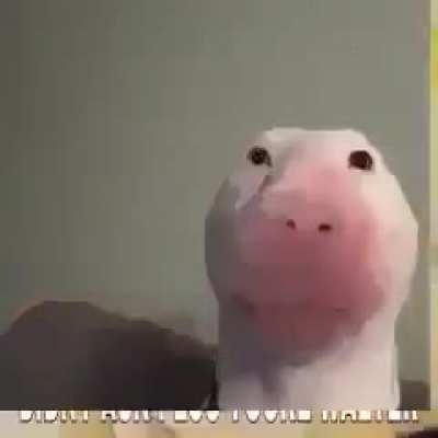 Lo encontr&eacute; en mi galeria