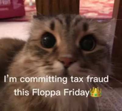 It&rsquo;s floppa Friday 🥳🥳🥳🥳