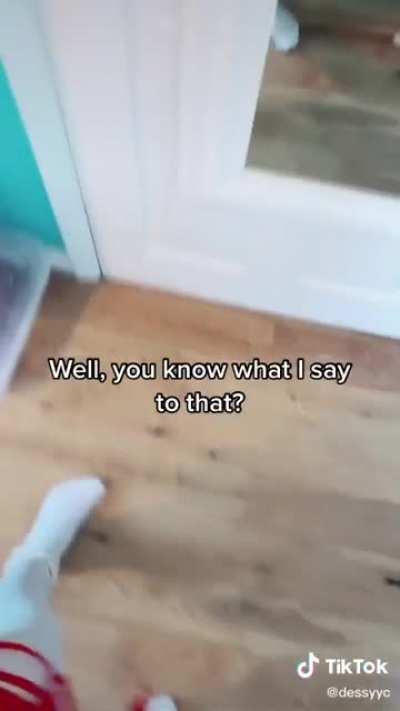 My friend sent me this and I&rsquo;m dying (possibly inside cause it&rsquo;s a TikTok)