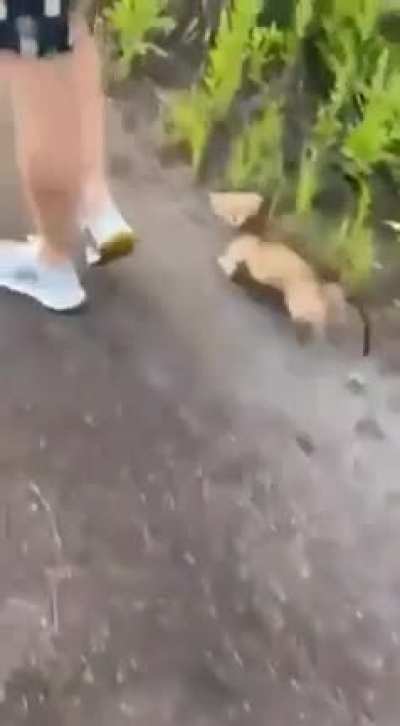 He wants to be picked up