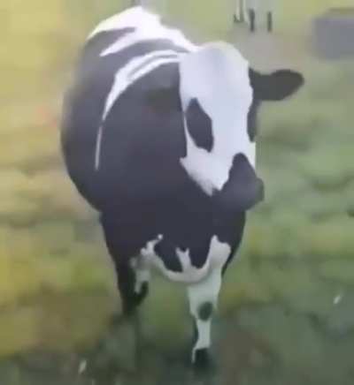 alguem pra jogar um fogar&eacute;u? 😳