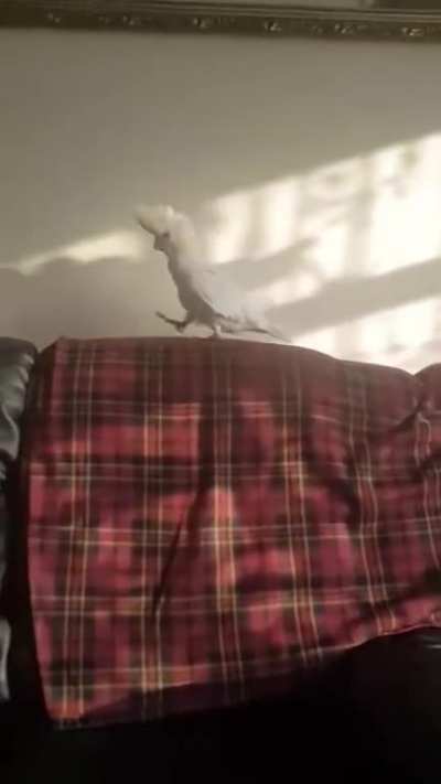 Where&rsquo;d he go