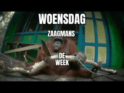 Ik🐵ihe