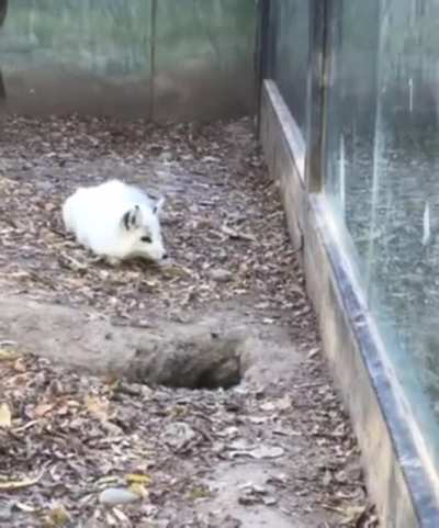 Where did you GO?!