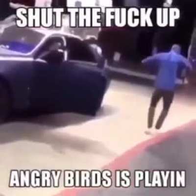 angry birds American edition 😎😎😎😎😎😎