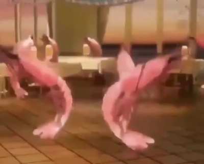 Shrimp