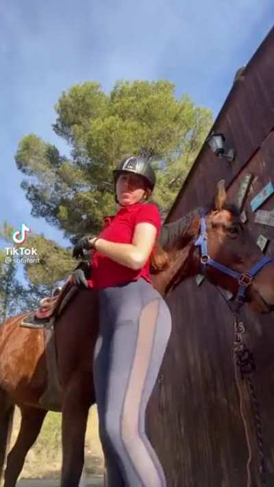 Equestrian Ass