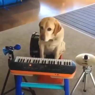 true talent