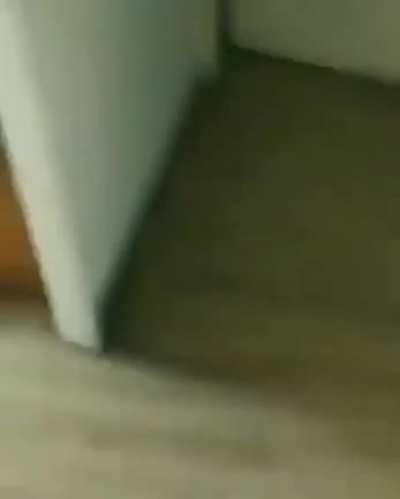 Sal de ac&aacute; culiao