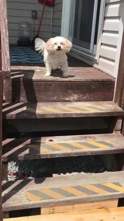 If the sun is even slightly out she squints like this. The most precious thing I&rsquo;ve ever seen!