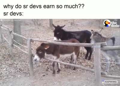 you mfker but how??